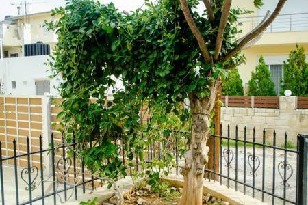 Sun By The Sea 2 Apartment Agia Pelagia  Exterior photo